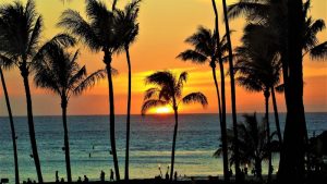 【ハワイ旅行のwi-fiレンタル最安値！】海外wi-fiレンタルを全部あつめて徹底比較してみたおすすめは？